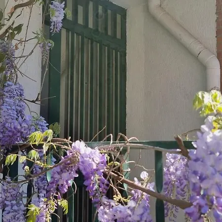 Casadei24 Проживание в семье