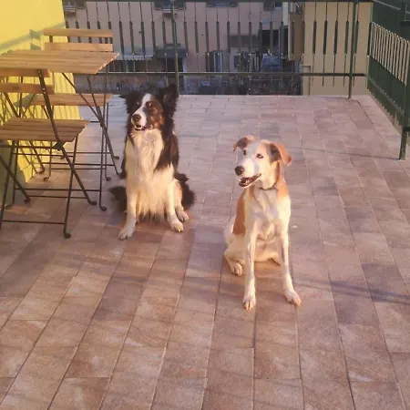 Проживание в семье Casadei24 *